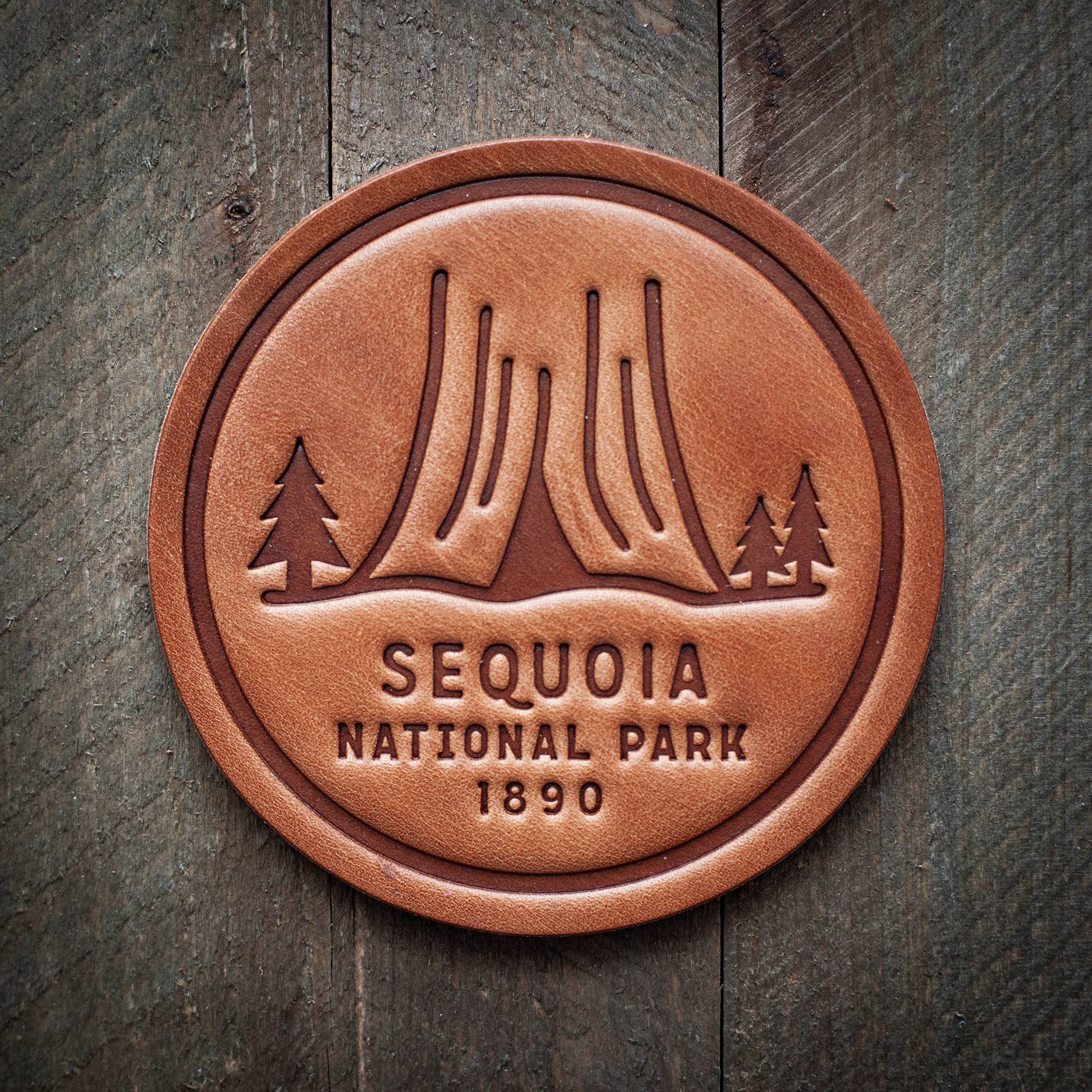 Sequoia National Park Leather Coaster