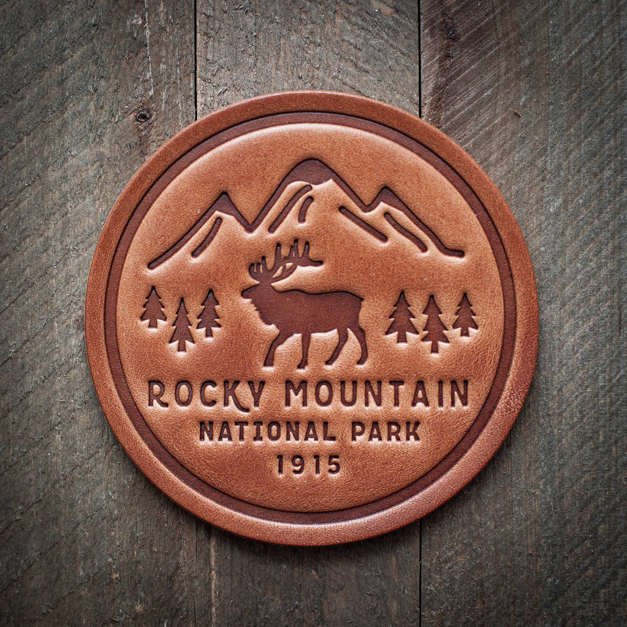 Rocky Mountain National Park Leather Coaster